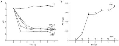 Multi-Omics Reveal the Efficient Phosphate-Solubilizing Mechanism of Bacteria on Rocky Soil